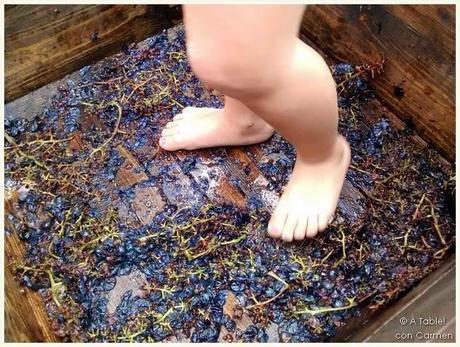 Fiesta de la Vendimia en Bodegas Faelo #FestaVeremaFaelo