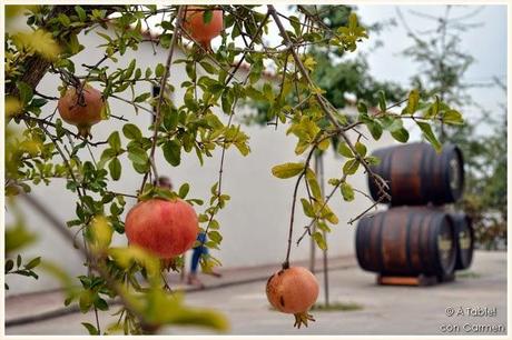 Fiesta de la Vendimia en Bodegas Faelo #FestaVeremaFaelo