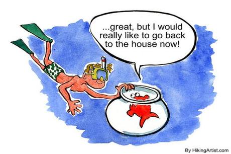 seras quien quieres ser