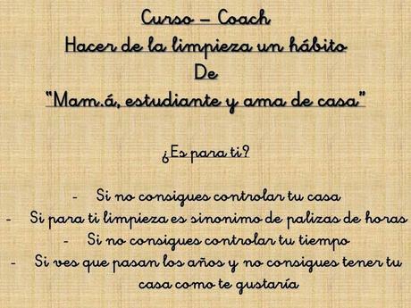 Venga, que te echo una mano con la limpieza de casa...