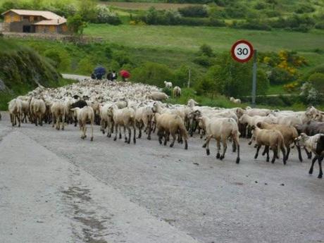 Otro jueves de verano: placeres de trabajar en agosto