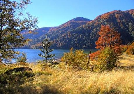 HOY EMPIEZA OTOÑO