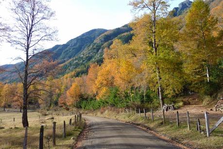 HOY EMPIEZA OTOÑO