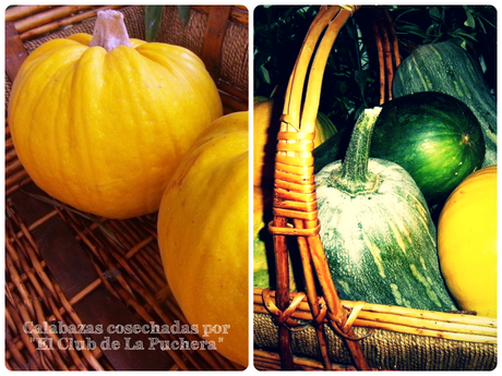 TEMPORADA....................Otoño.-