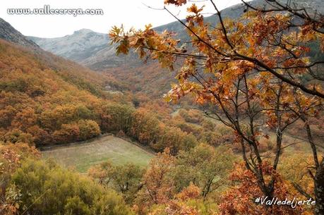 Otoño en el Valle del Jerte (otoñada)