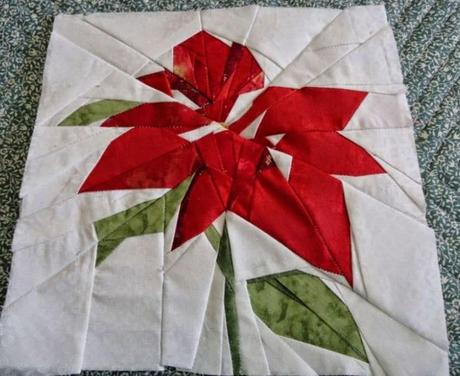 Sal  Flores: Poinsentia