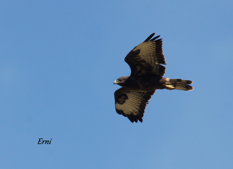 REENCUENTRO CON ELEONOR Y OTRAS HISTORIAS
