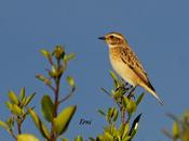 Reencuentro eleonor otras historias