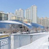 Museo de la escultura de madera 9