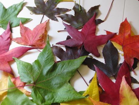 LOS COLORES DEL OTOÑO...