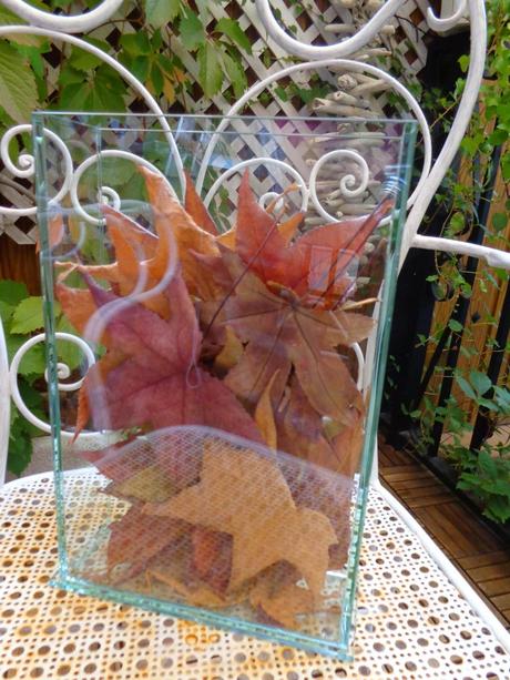 LOS COLORES DEL OTOÑO...