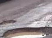 exclamación Boquete