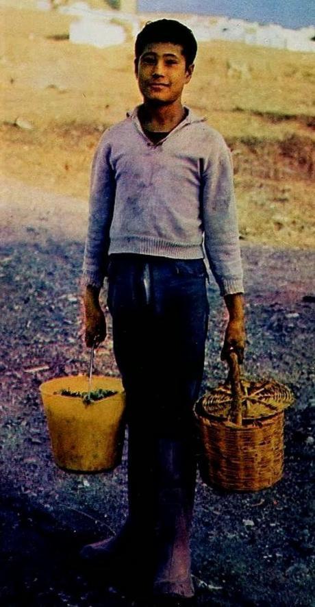 Los negros de Gibraleón