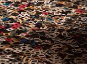 Sobre Anima Carolina Magnin