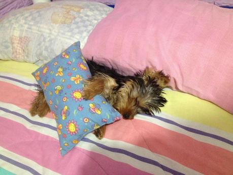 Mi amigo. Mi Capitán