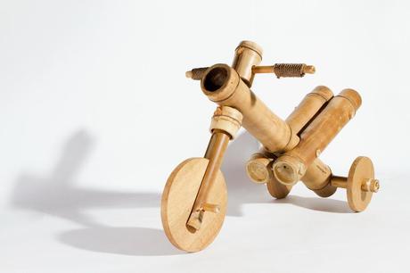 WURLM4ZUQTZWU8Icaocaotre (4)