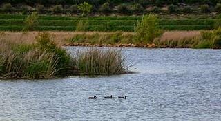 La indignante muerte y milagrosa resurreción de una laguna de interior