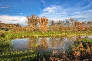 La indignante muerte y milagrosa resurreción de una laguna de interior