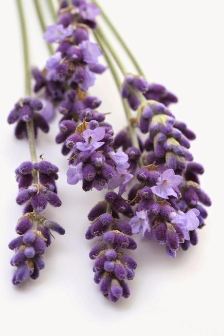 Cómo calmar el dolor de cabeza