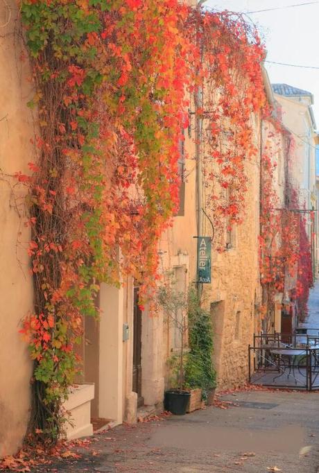 Accesos a Viviendas en Estilo Rustico  /  Rustic Style Entry House