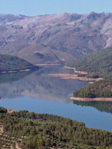 CORDERO SEGUREÑO DE JAÉN: POR QUÉ ES DISTINTO A LOS DEMÁS.