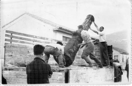 Los 87 cañones holandeses de Santoña...