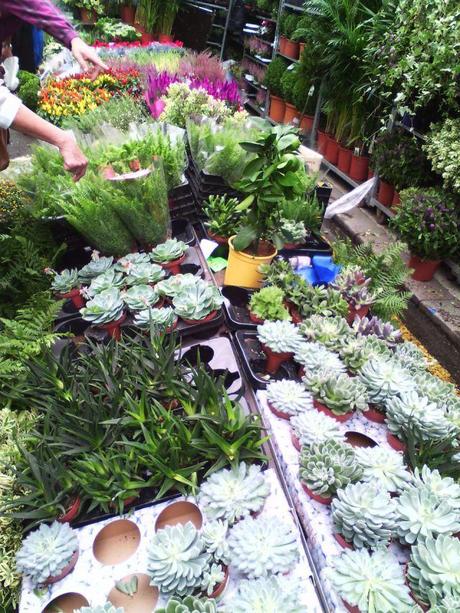flower market londres
