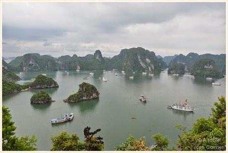 Clase de Cocina en la Bahía de Halong o cómo preparar Rollitos Vietnamitas