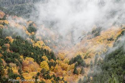 Parque Natural de Sierra de Cebollera