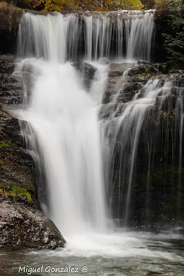 Parque Natural de Sierra de Cebollera