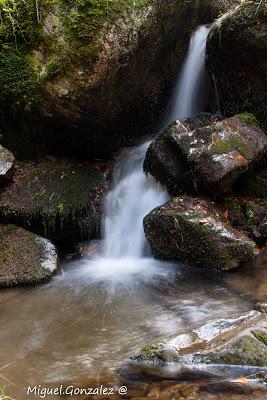 Parque Natural de Sierra de Cebollera