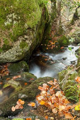 Parque Natural de Sierra de Cebollera