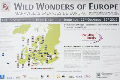Exposición Wild Wonders of Europe en Madrid