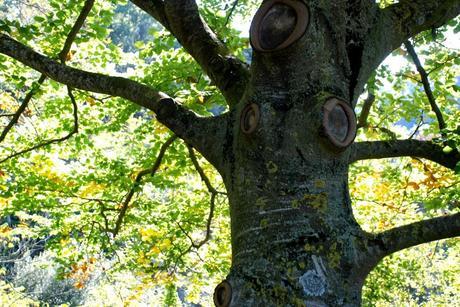 Resistencia al cambio (I)