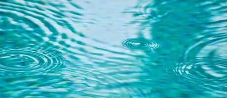 El yogur de gominolas. Sobre las necesidades de la parte contratante.