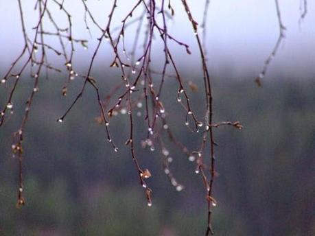 no hay dolor (rimas) - en la cama mientras llueve (rimas) - uno mismo (rimas)