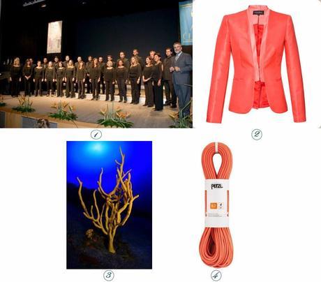 Regalos de aniversario (VII) Regalos de aniversario (VII)