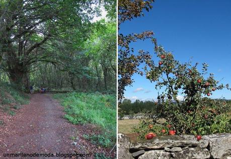 Camino de Santiago, unmarllenodemoda