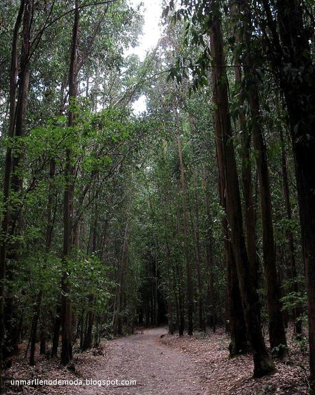 Camino de Santiago, unmarllenodemoda