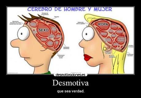 LA ECONOMÍA CEREBRAL