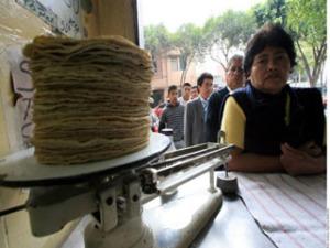 como empezar un negocio de tortilleria