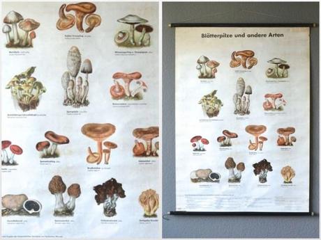 poster-mighty-vintage