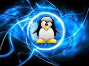 ¿Ser completamente Linux?