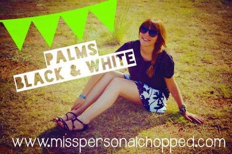 LOOK: Palms Black & White!