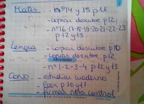 1234186_10203646077450283_7620756418220857908_n