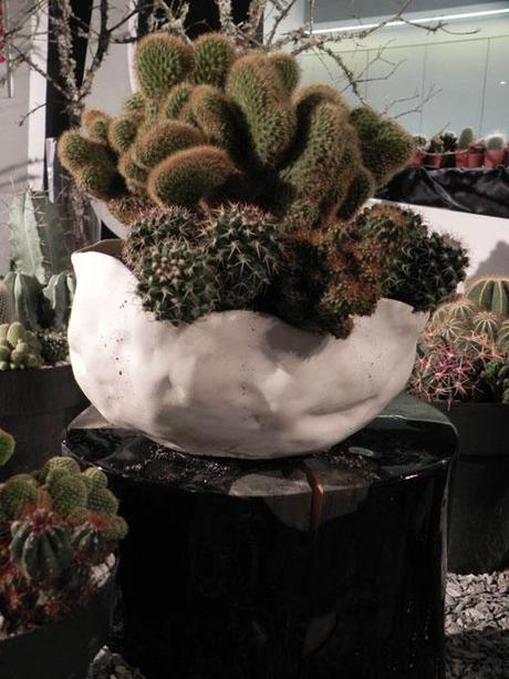 Selección de A-cero Floral