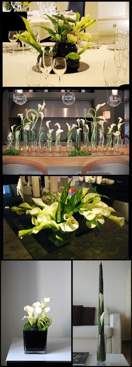 Selección de A-cero Floral