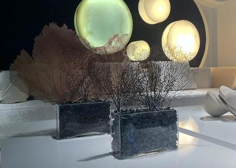 Selección de A-cero Floral