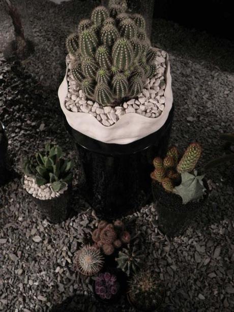 Selección de A-cero Floral