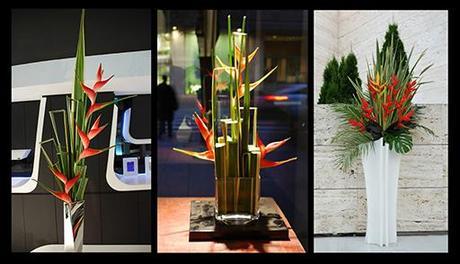 Selección de A-cero Floral